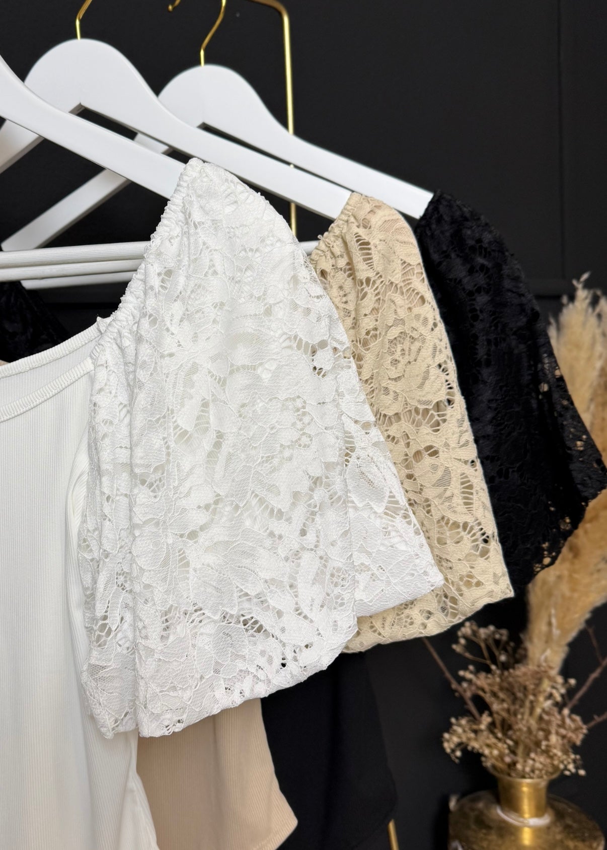 Body mit Spitzenpuffärmeln in 3 Farben