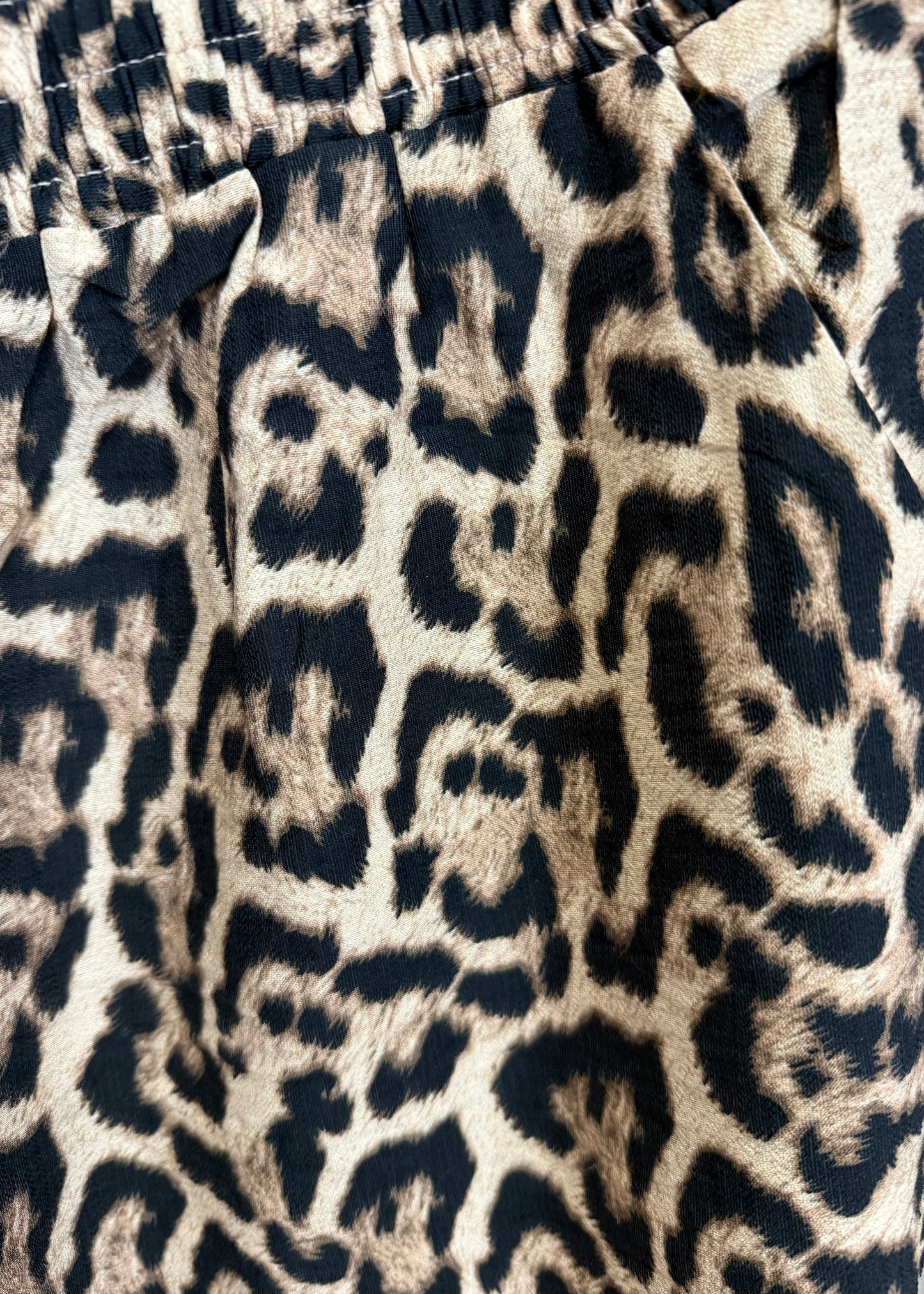 Leo Hose