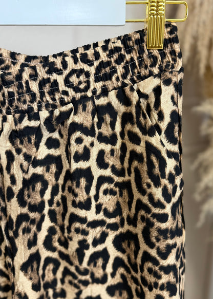 Leo Hose